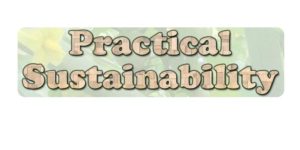 practical sustainability logo